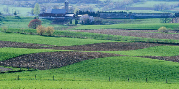 Estudio de Terrenos para agricultura