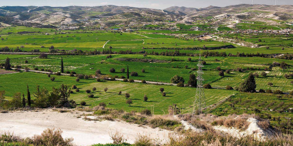 Estudios de suelos para agricultura en el Baix Ebre