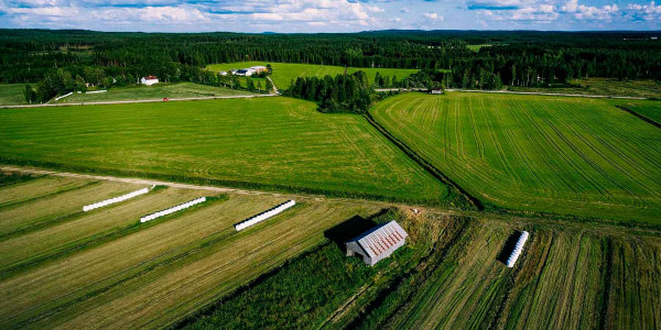 Estudios de suelos agrícolas en el Baix Ebre